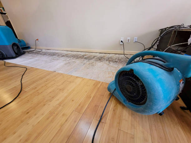 Professional Structural Drying technician working in Centerville, PA